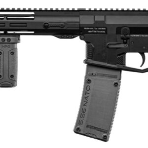 AR15 HERA ARMS modèle 15TH 14.5 » 223 Rem gris Tungstène édition spéciale