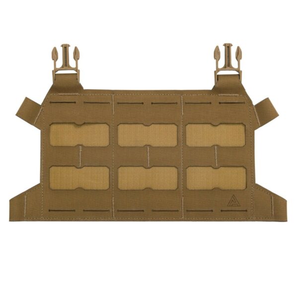Skeletonized Plate Carrier Flap
