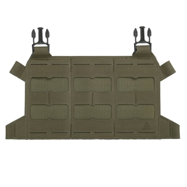 Skeletonized Plate Carrier Flap