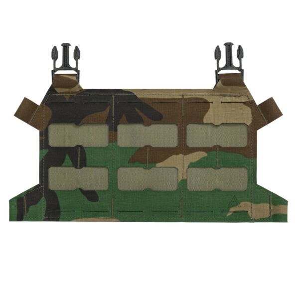 Skeletonized Plate Carrier Flap